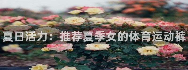夏日活力：推荐夏季女的体育运动裤