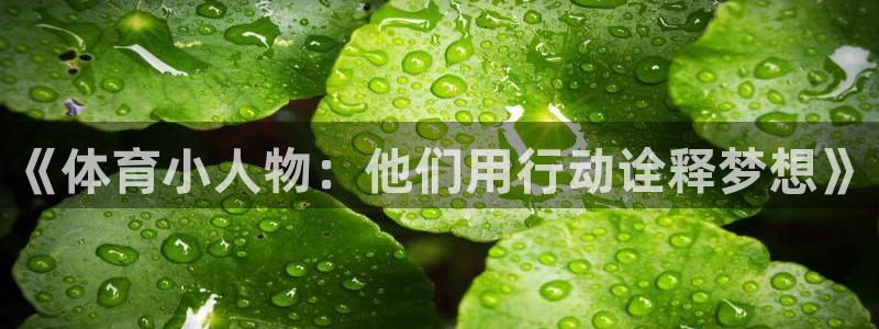 《体育小人物：他们用行动诠释梦想》