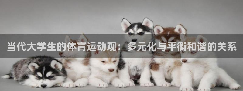 当代大学生的体育运动观：多元化与平衡和谐的关系