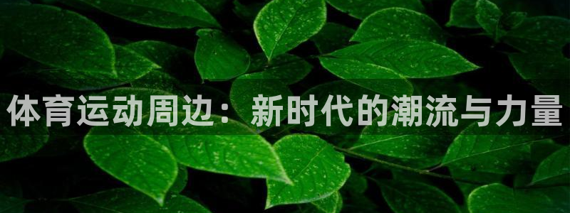 体育运动周边：新时代的潮流与力量
