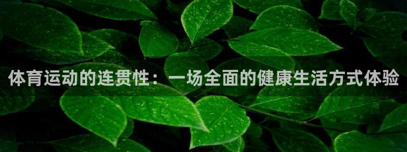 体育运动的连贯性：一场全面的健康生活方式体验