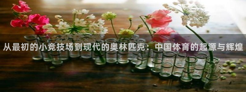 从最初的小竞技场到现代的奥林匹克：中国体育的起源与辉煌
