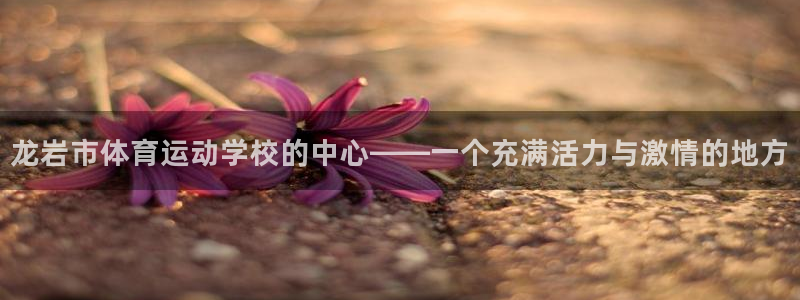龙岩市体育运动学校的中心——一个充满活力与激情的地方