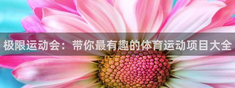 极限运动会：带你最有趣的体育运动项目大全
