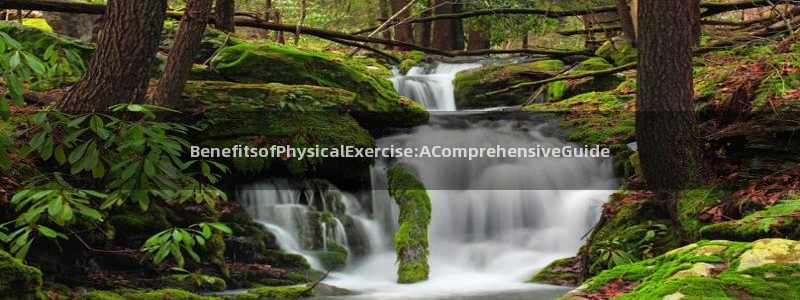 BenefitsofPhysicalExercise:AComprehensiveGuide
