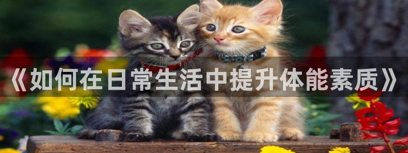 《如何在日常生活中提升体能素质》